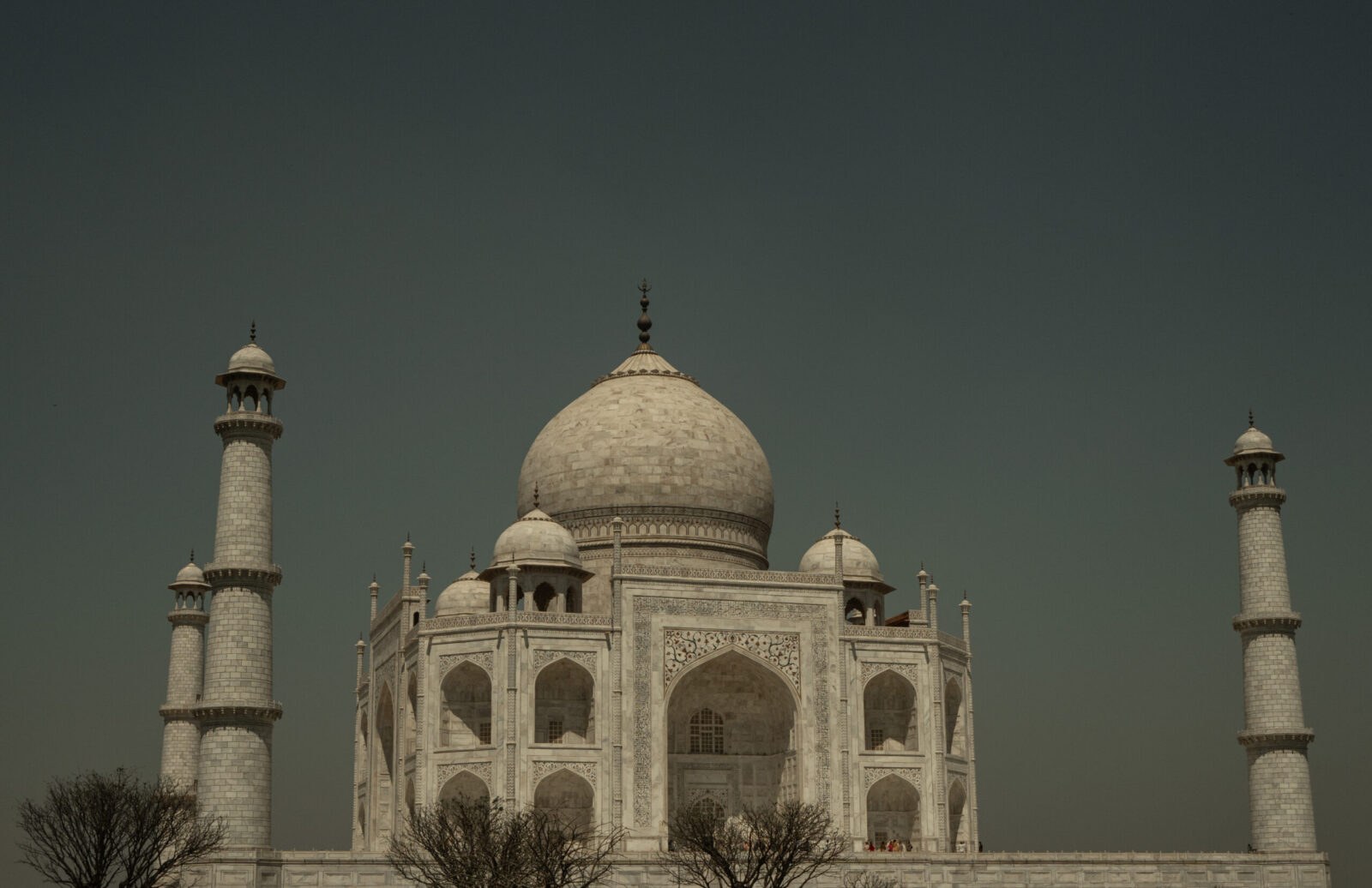 Taj Mahal Architectural Detail