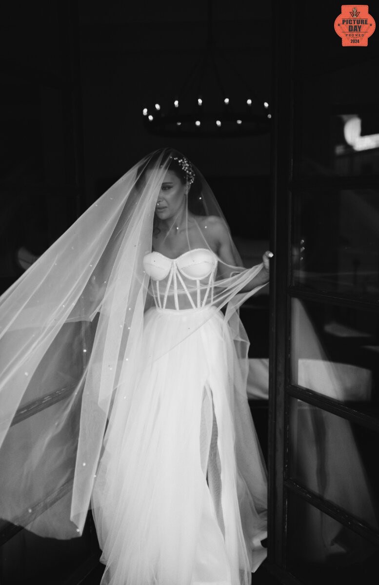 Award-Winning Bridal Portrait - Black and White