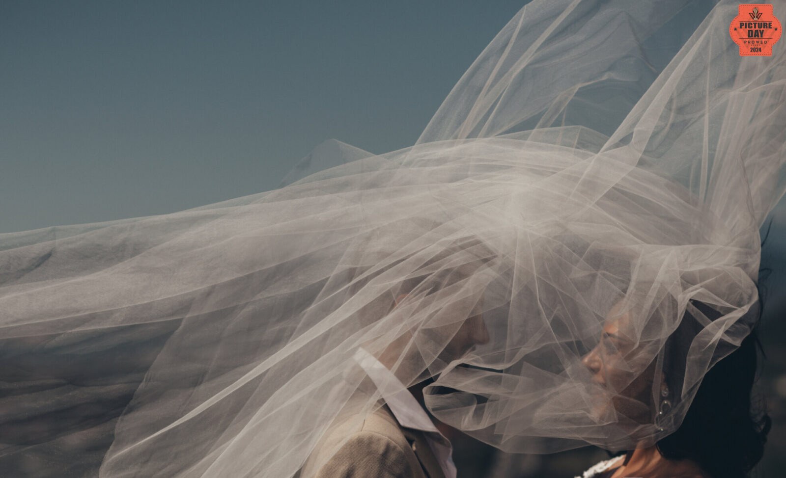Picture of the Day - The Embrace Under the Veil