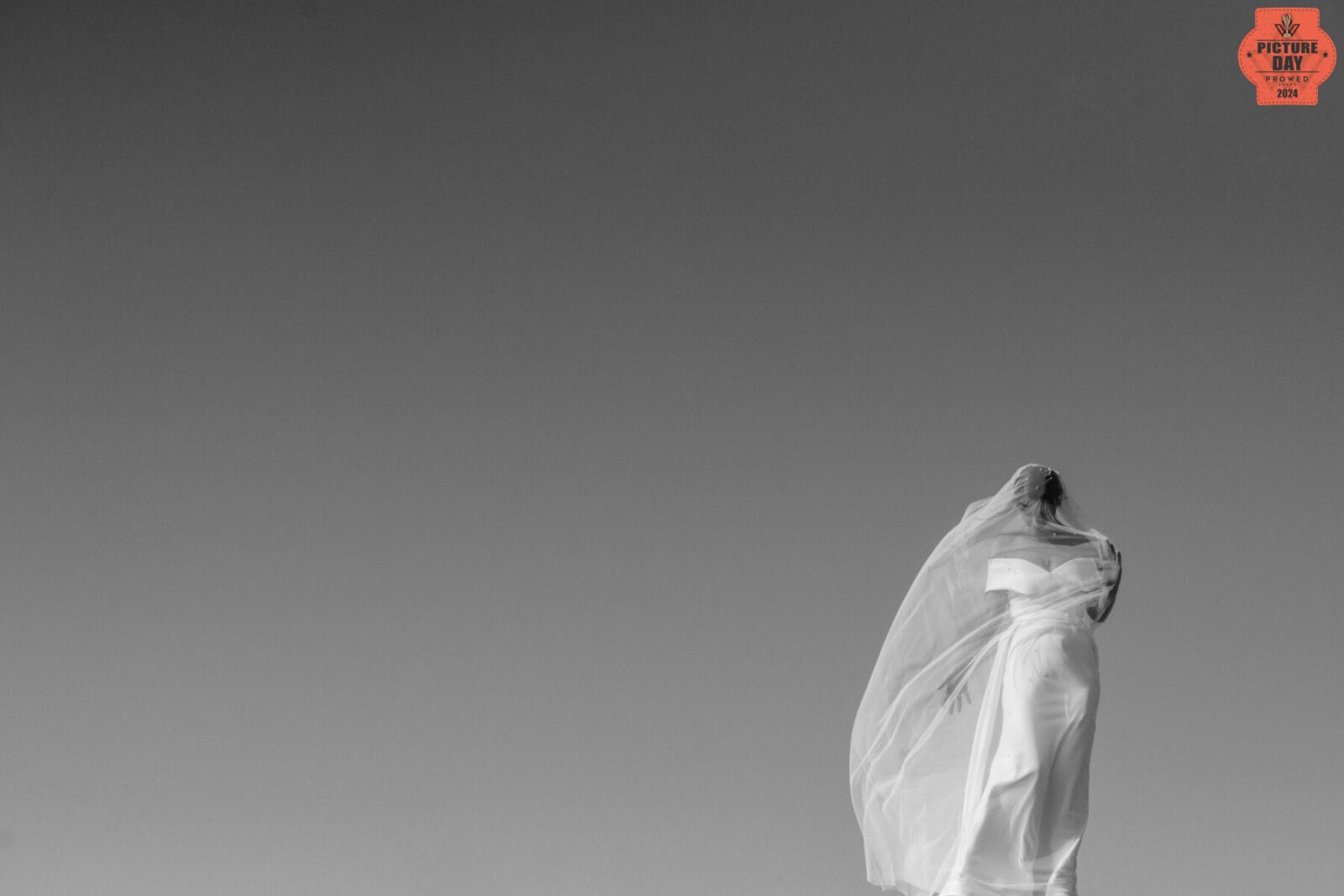 Picture of the Day - The Solitary Bride