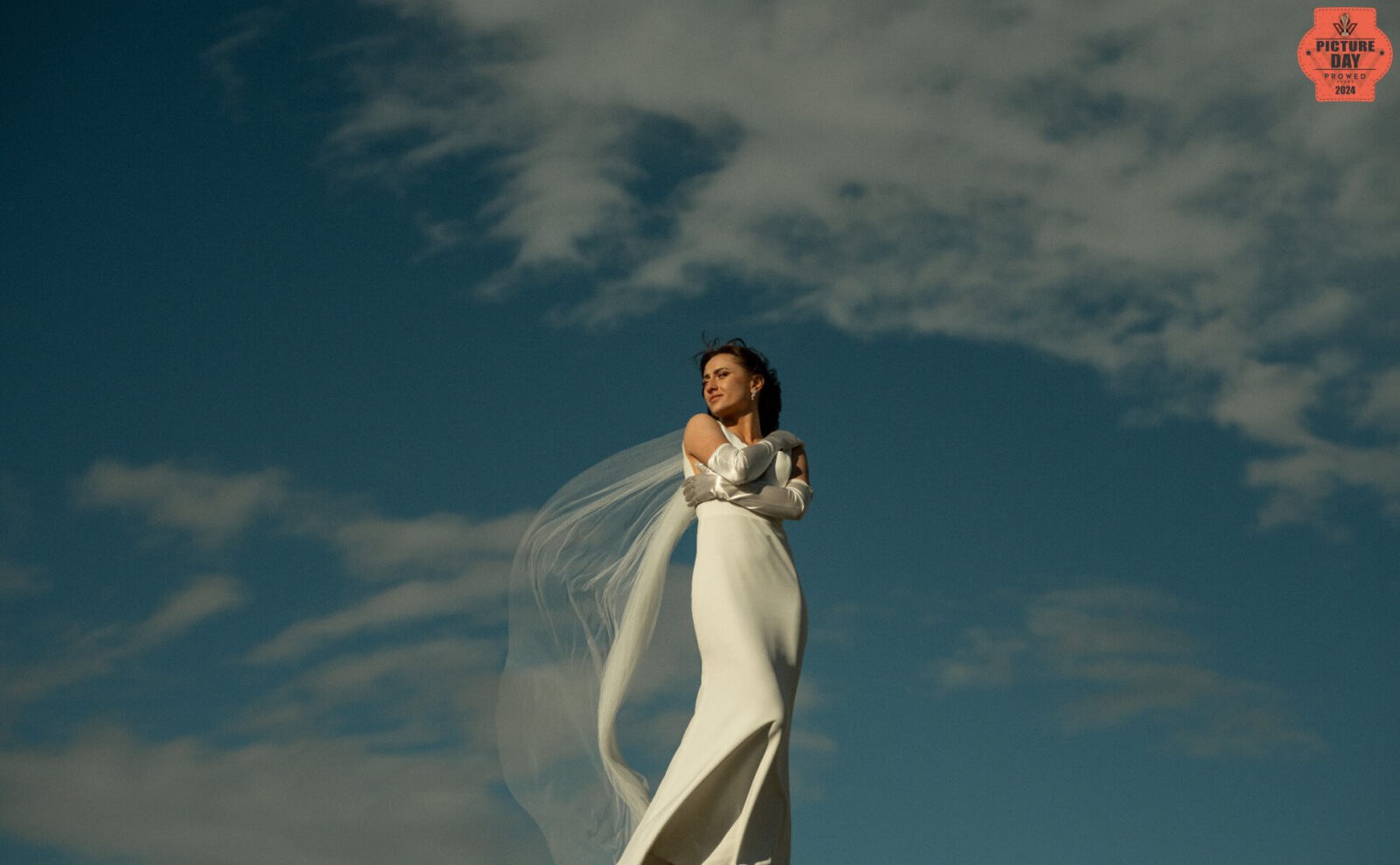 Picture of the Day - Bride Against the Sky