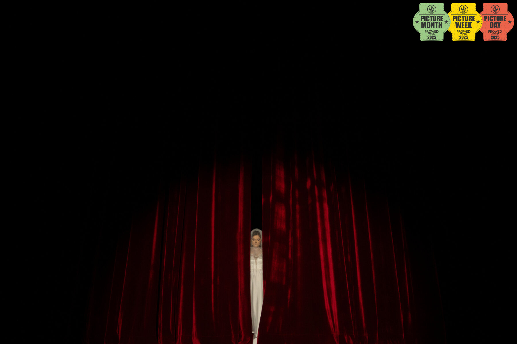 როგორ გავხდეთ საუკეთესო საქორწინო ფოტოგრაფი? 7 მთავარი რჩევა